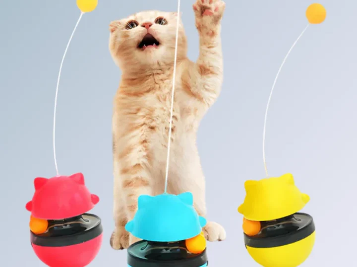 Os Melhores Brinquedos Para Gatos Que Estimulam a Mente