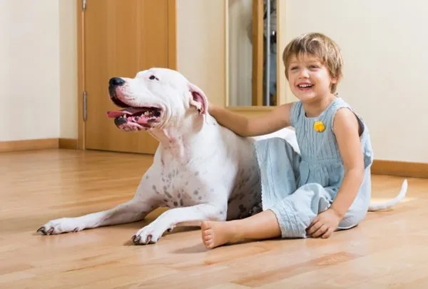 Pets e Crianças: Como Ensinar Respeito e Segurança