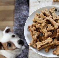 Como Preparar Petiscos Caseiros Saudáveis Para Cachorros e Gatos